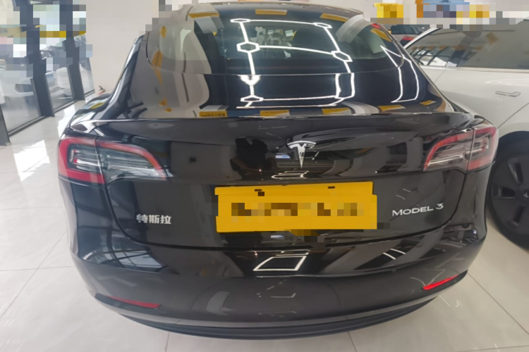 Tesla Model 3 2021 car image #6