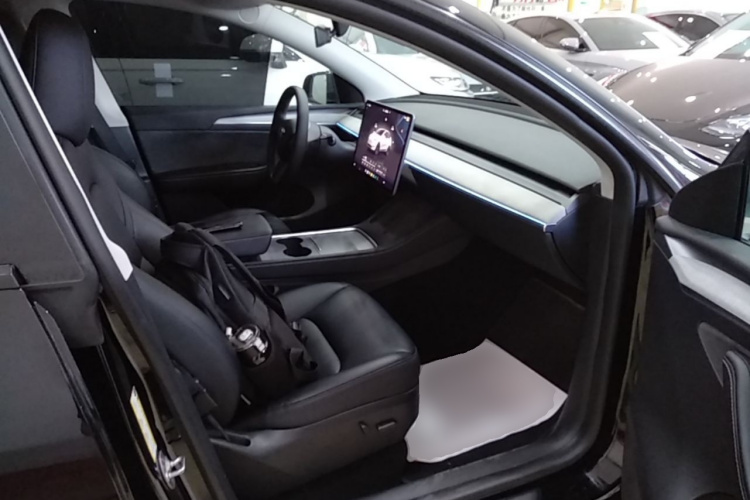 Tesla Model Y 2024 car image #24