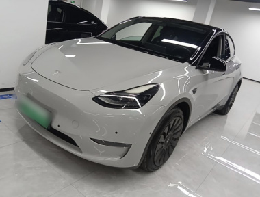 Tesla Model Y 2021 Tesla Model Y 2021 صورة سيارة