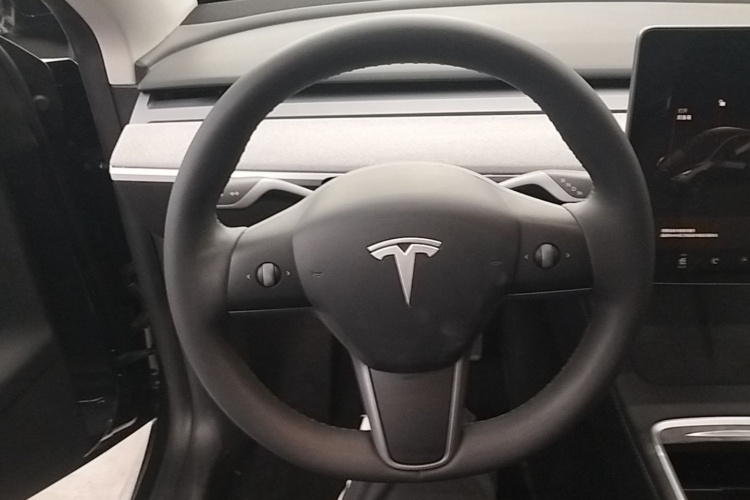 Tesla Model Y 2024 car image #15
