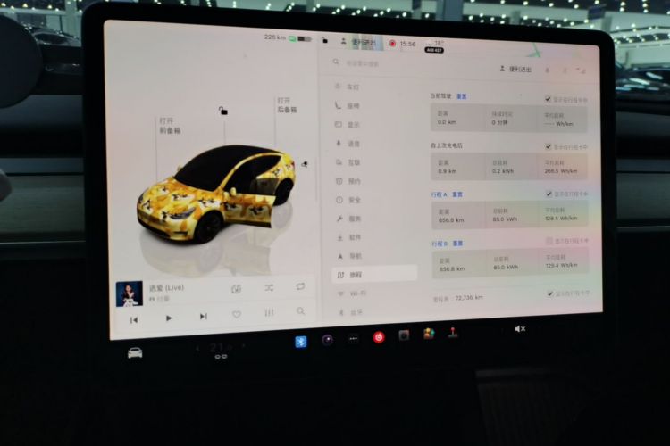 Tesla Model Y 2023 car image #12