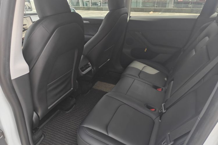 Tesla Model Y 2024 car image #10