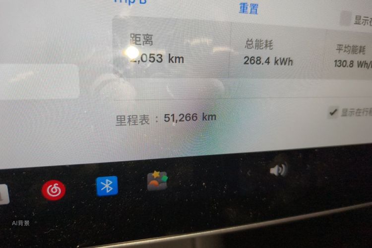 Tesla Model 3 2021 car image #14