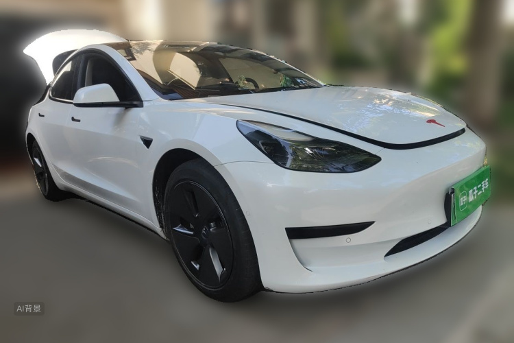 Tesla Model 3 2021 #4 Tesla Model 3 2021 car image #4