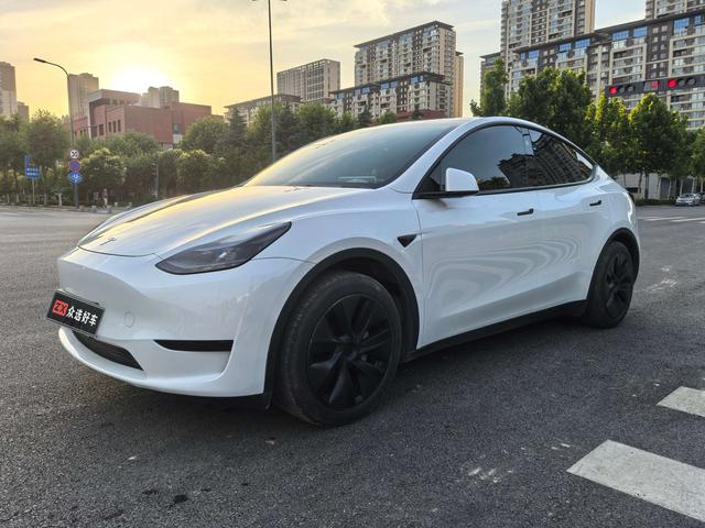 Tesla Model Y 2024 #21 Tesla Model Y 2024 car image #21