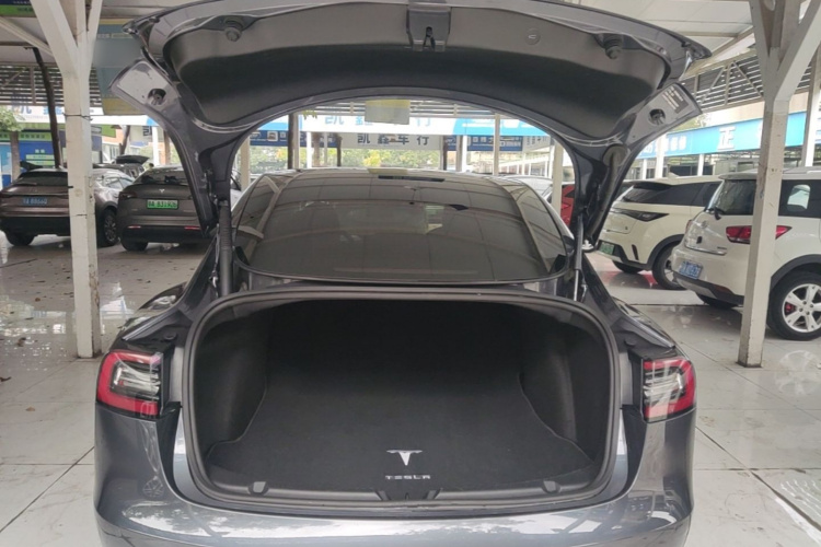 Tesla Model 3 2021 car image #19