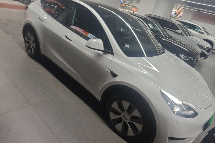 Tesla Model Y 2022 immagine di auto #4