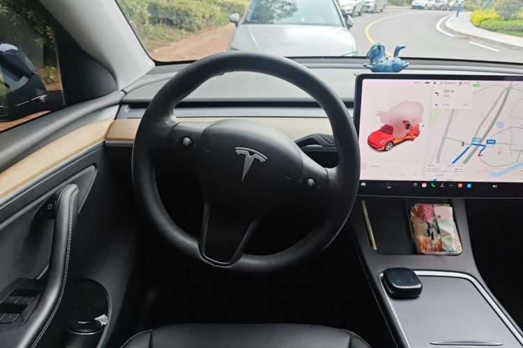 Tesla Model Y 2021 car image #15
