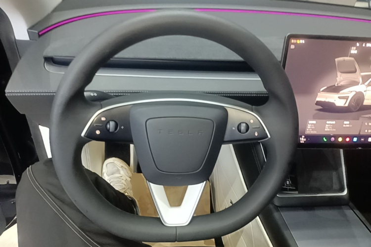 Tesla Model Y 2025 immagine di auto #11