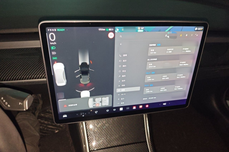 Tesla Model 3 2020 car image #17
