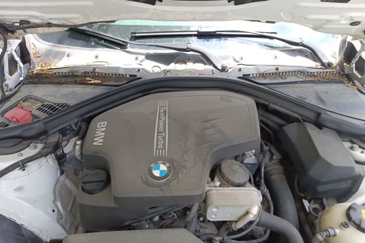 BMW 3 Series 2016 #22 BMW 3 Series 2016 car image #22