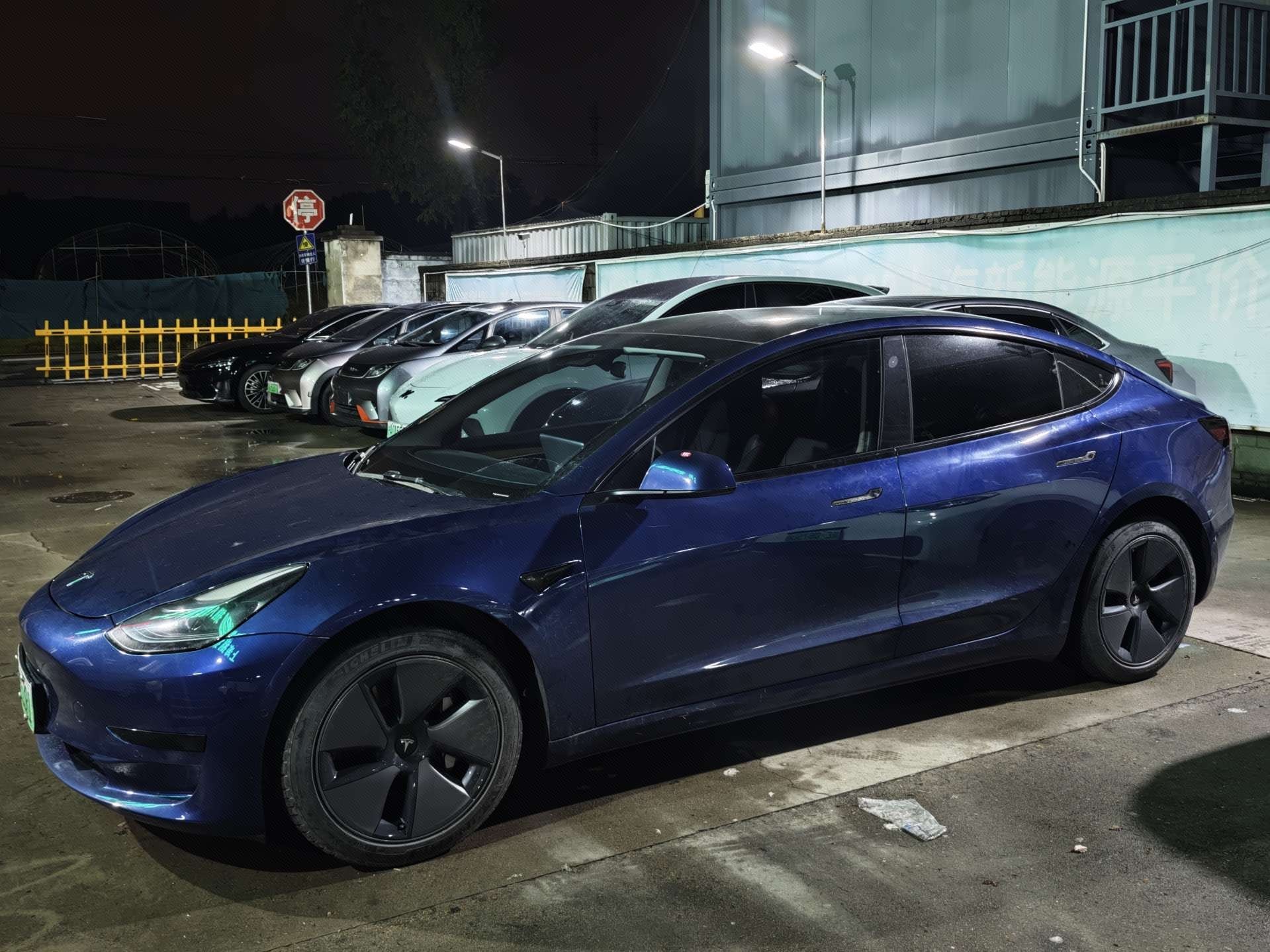 Tesla Model 3 2021 Tesla Model 3 2021 car image
