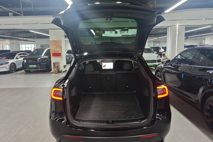 Tesla Model Y 2022 #19 Tesla Model Y 2022 car image #19