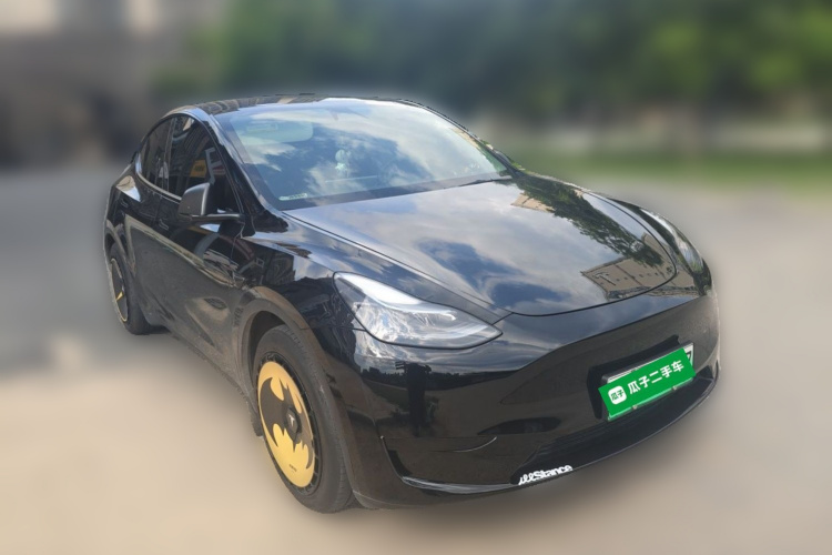 Tesla Model Y 2024 car image #4
