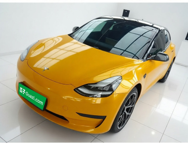 Tesla Model 3 2020 Tesla Model 3 2020 car image