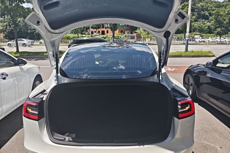 Tesla Model 3 2020 car image #19