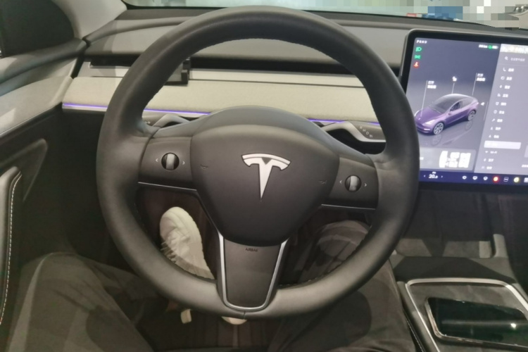 Tesla Model Y 2024 #14 Tesla Model Y 2024 car image #14