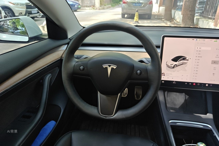 Tesla Model 3 2022 car image #12