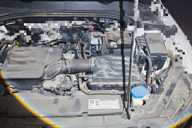 Volkswagen Bora 2018 car image #23