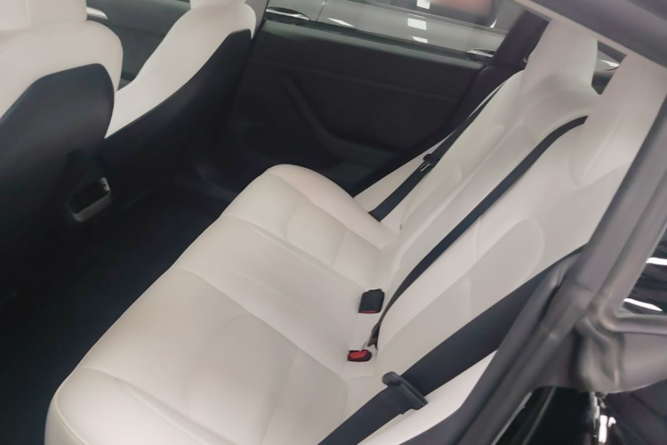 Tesla Model 3 2023 immagine di auto #17