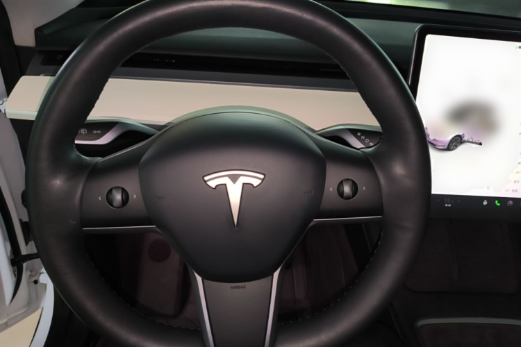 Tesla Model Y 2023 car image #15