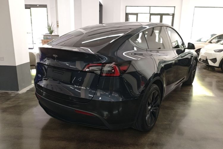 Tesla Model Y 2024 car image #7