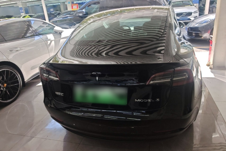 Tesla Model 3 2020 #6 Tesla Model 3 2020 car image #6