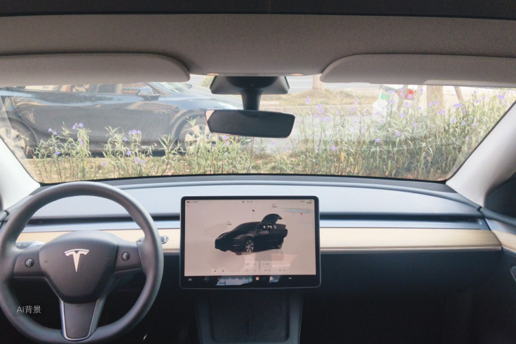Tesla Model Y 2022 #11 Tesla Model Y 2022 car image #11