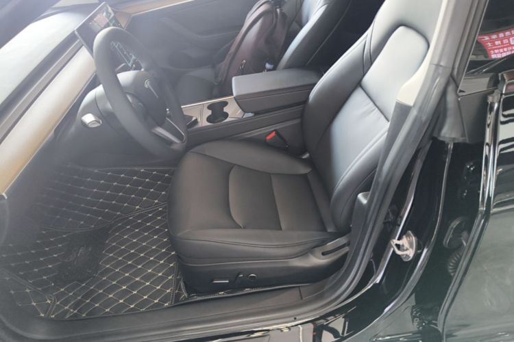 Tesla Model 3 2021 car image #15