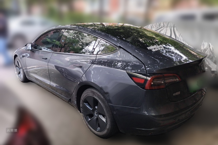 Tesla Model 3 2021 car image #5