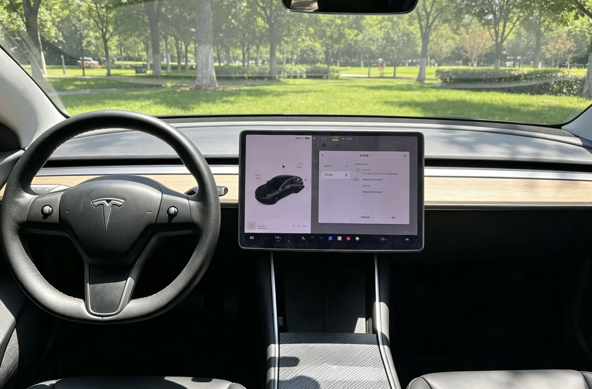 Tesla Model 3 2020 #4 Tesla Model 3 2020 car image #4