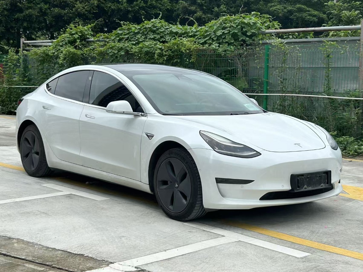 Tesla Model 3 (Imported) 2020 #3 Tesla Model 3 (Imported) 2020 car image #3