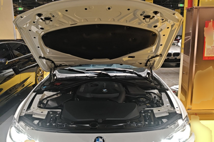 BMW 3 Series 2019 car image #20