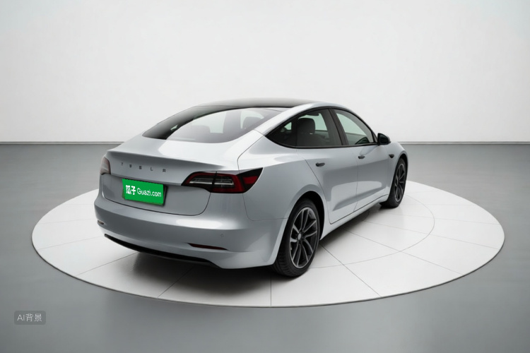 Tesla Model 3 2021 #7 Tesla Model 3 2021 car image #7