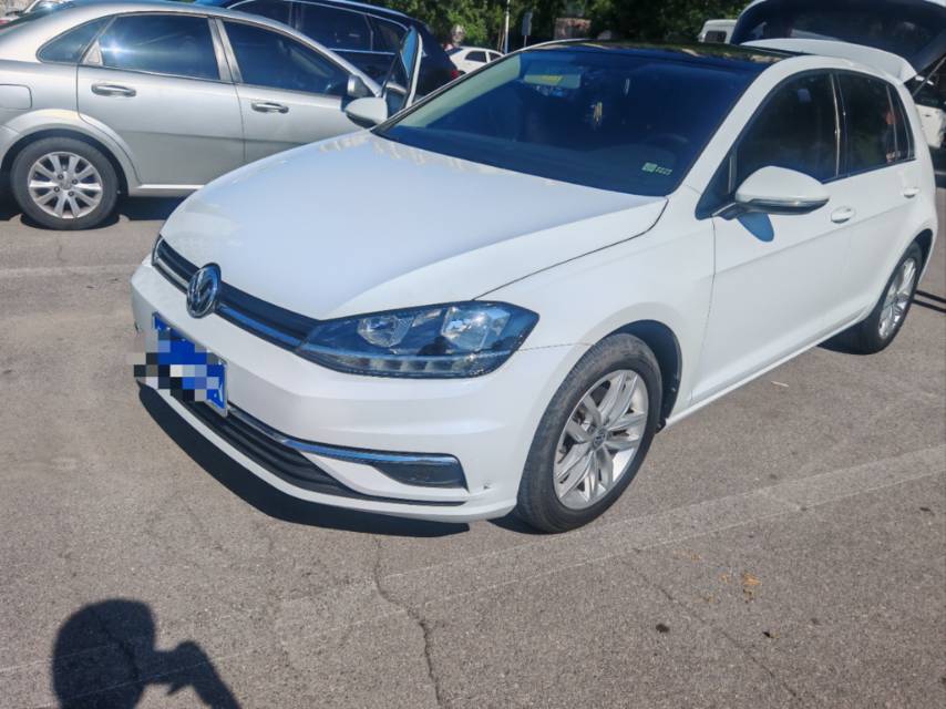 Volkswagen Golf 2019 Volkswagen Golf 2019 car image
