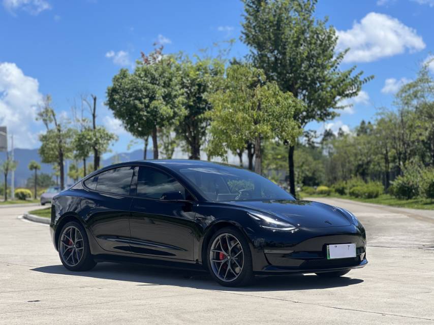 Tesla Model 3 2023 car image #3