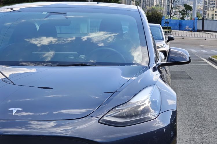 Tesla Model 3 2021 #23 Tesla Model 3 2021 car image #23