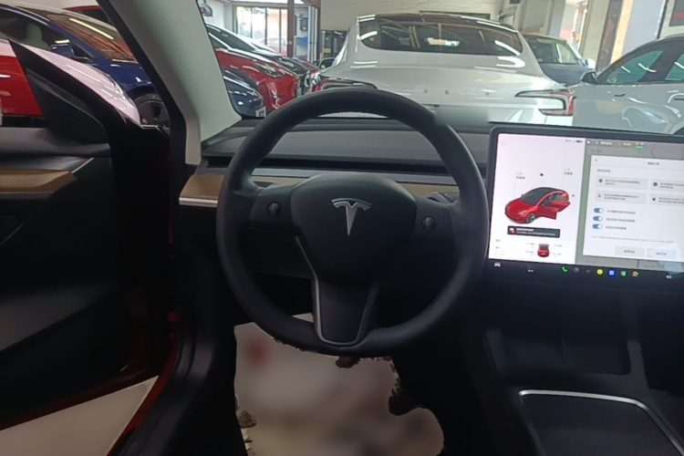 Tesla Model 3 2021 #11 Tesla Model 3 2021 car image #11