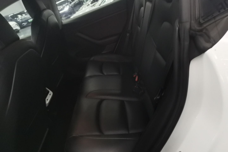 Tesla Model 3 2020 car image #17