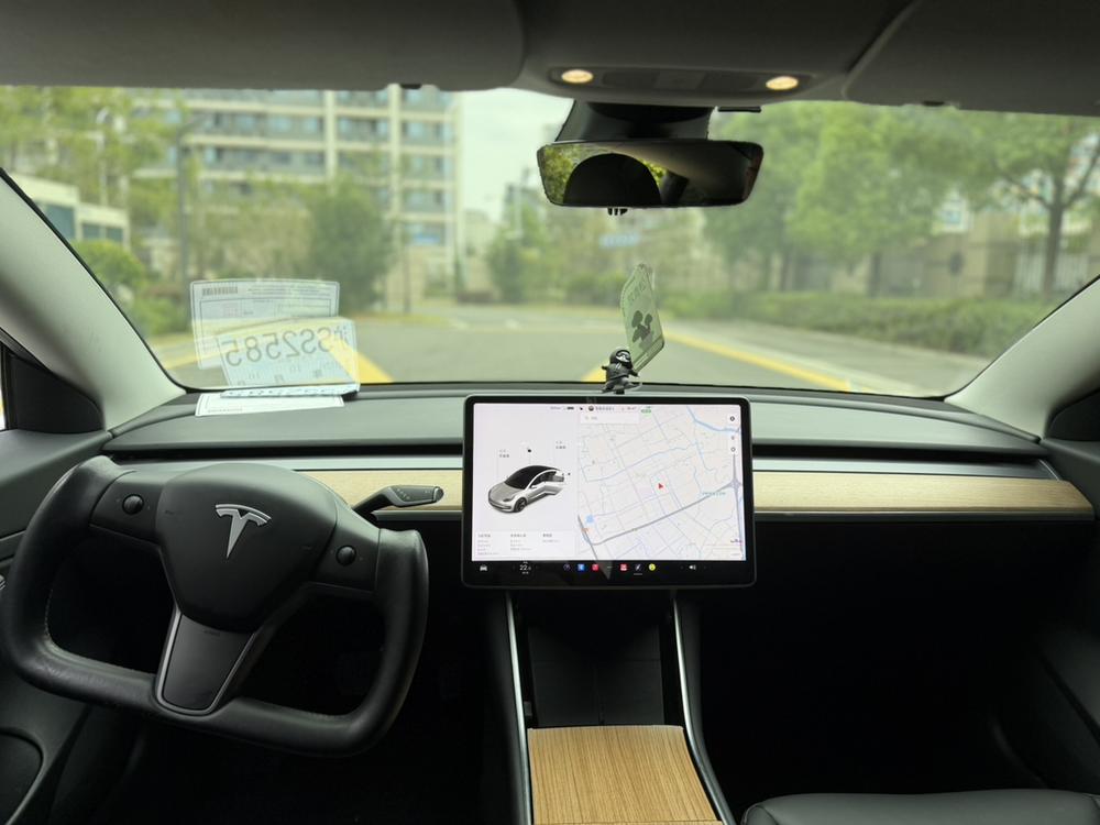 Tesla Model 3 2020 #14 Tesla Model 3 2020 car image #14