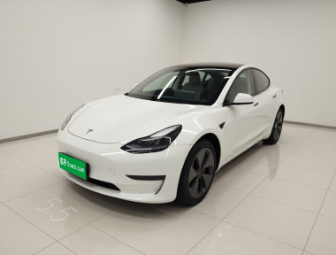Tesla Model 3 2021 car image 
