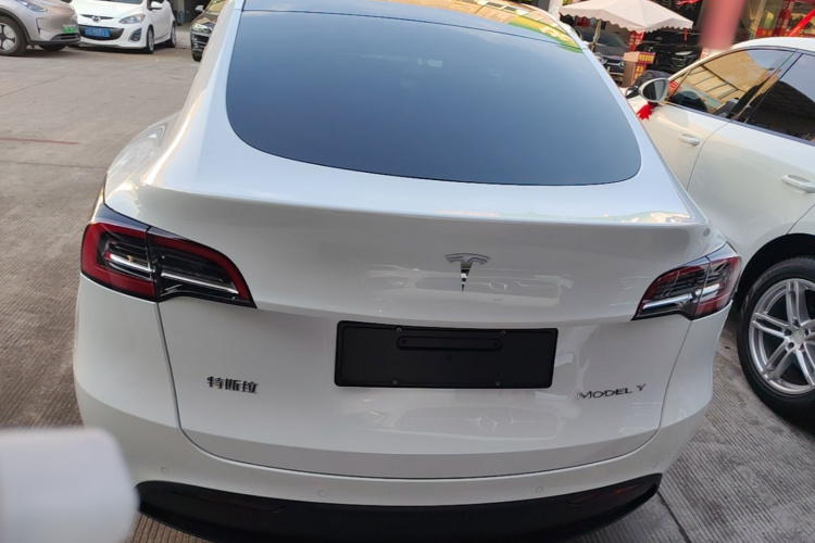 Tesla Model Y 2021 car image #6