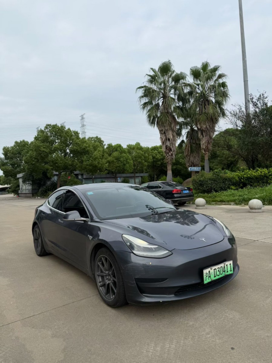 Tesla Model 3 2020 car image 