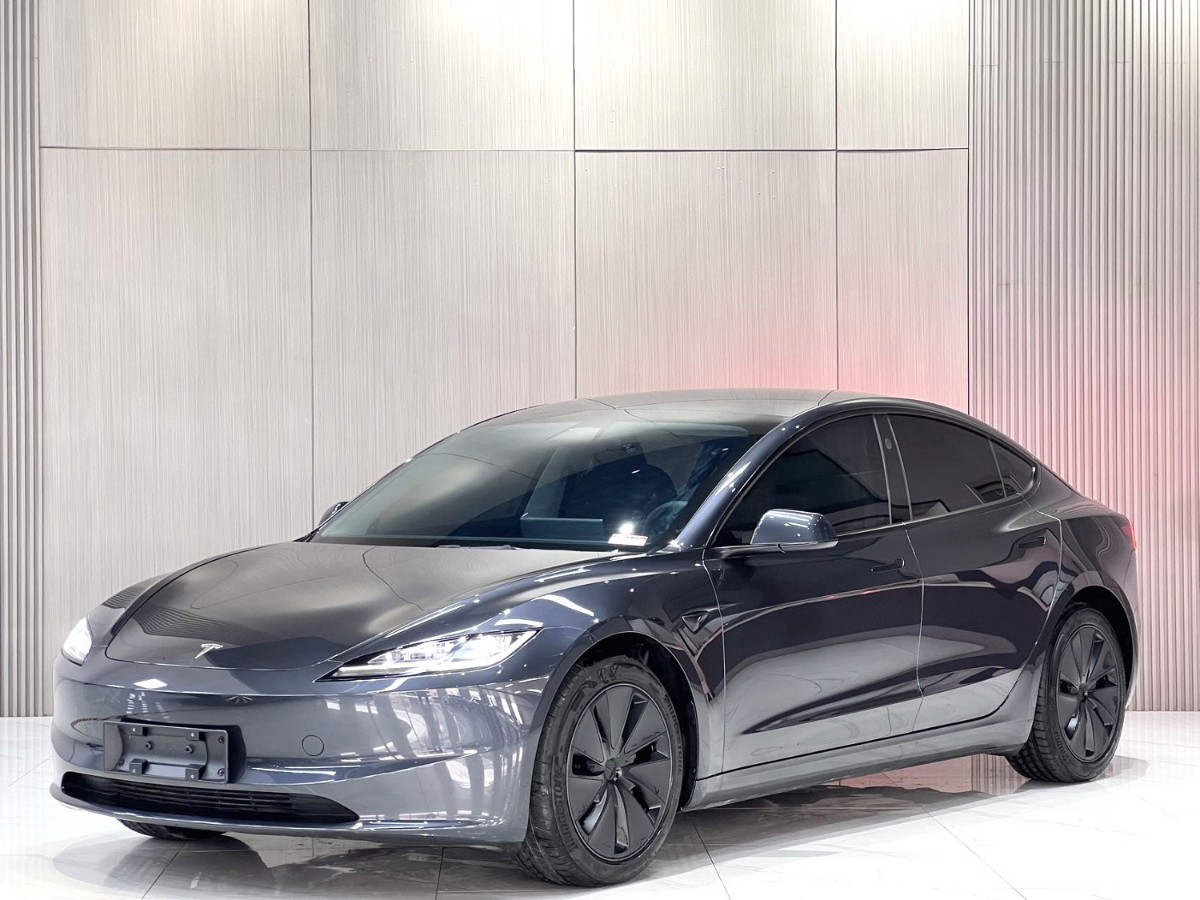 Tesla Model 3 2025 car image 