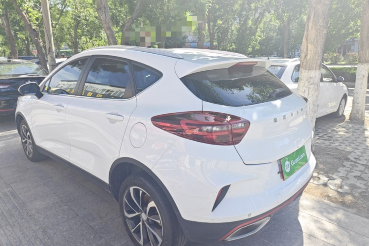 GEELY Emgrand GS 2020 #5 GEELY Emgrand GS 2020 car image #5