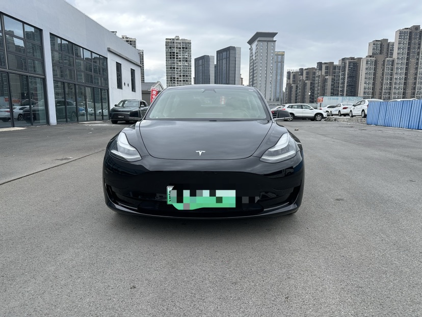 Tesla Model 3 2021 Tesla Model 3 2021 car image