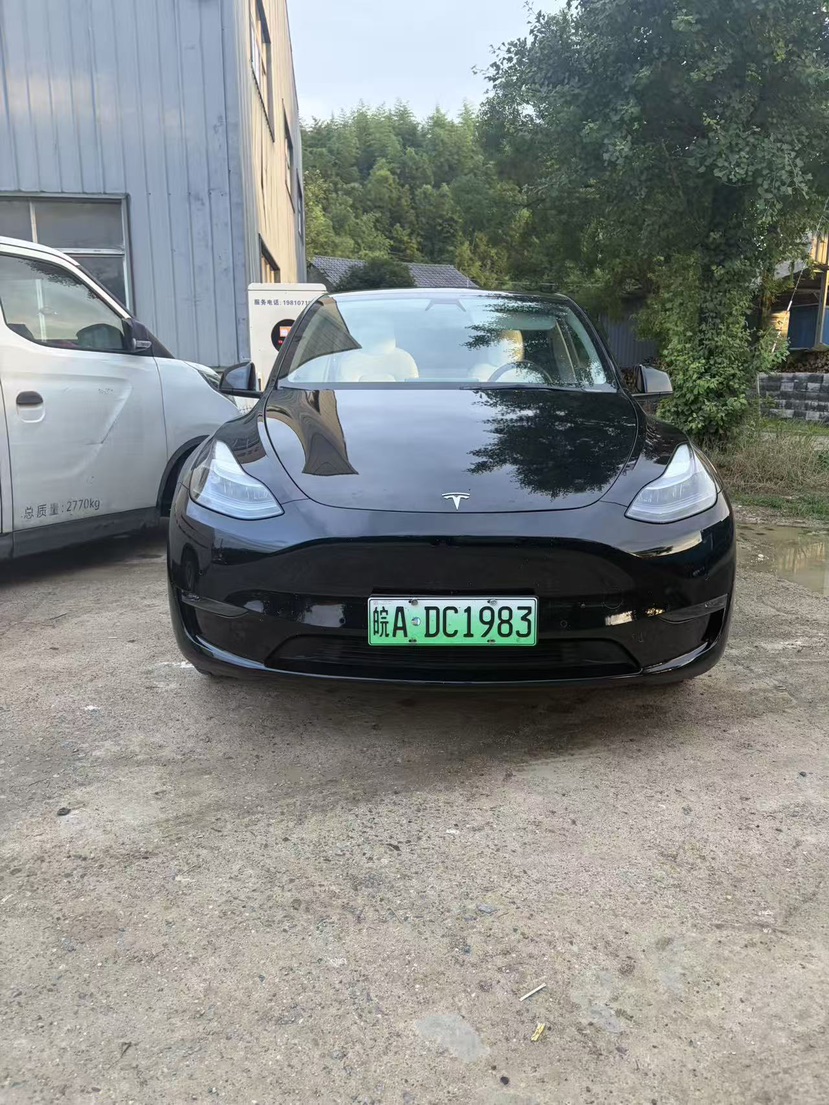 Tesla Model Y 2021 car image #2