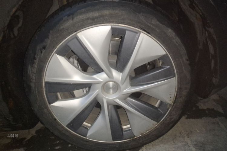 Tesla Model Y 2023 car image #9