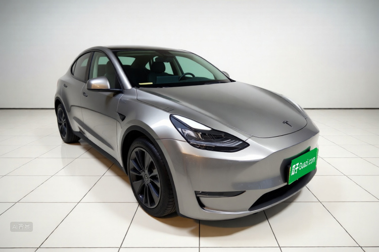 Tesla Model Y 2024 immagine di auto #4