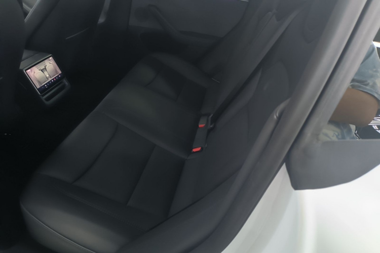 Tesla Model 3 2024 immagine di auto #17
